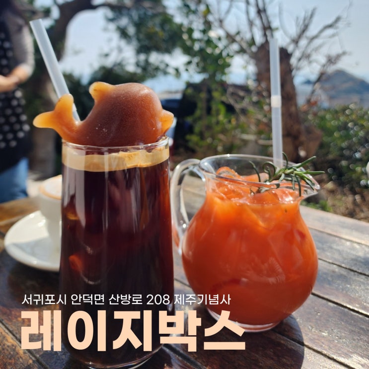  c️유채꽃명소 산방산과 진정한 제주도 바다뷰 레이지카페