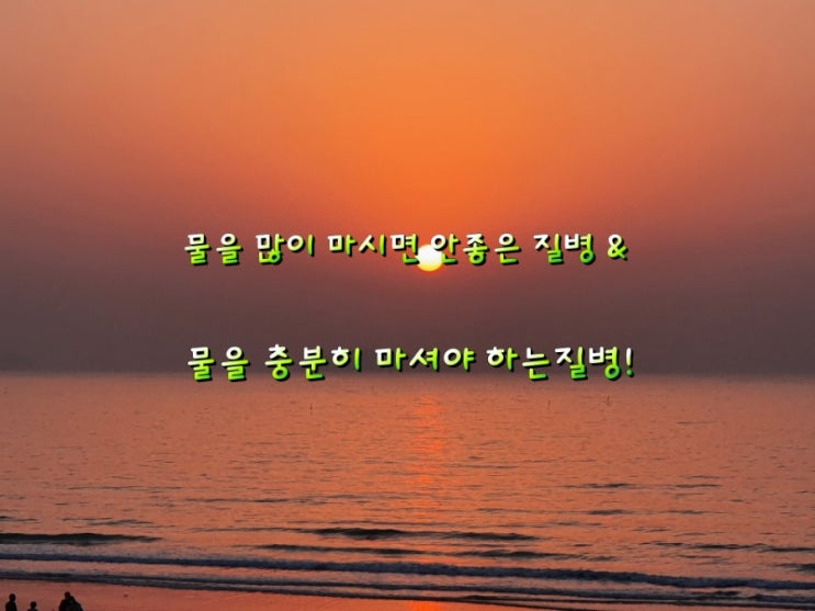 물을 많이 마시면 안좋은 질병 & 물을 충분히 마셔야 하는질병! 물을 많이 마시면 안좋은 질병 & 물을 충분히 마셔야 하는질병!