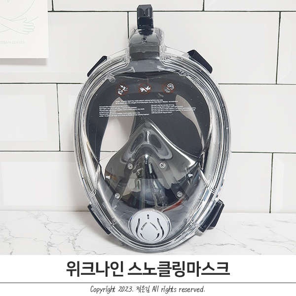 여행 준비물 위크나인 스노클링마스크 여행 준비물 위크나인 스노클링마스크
