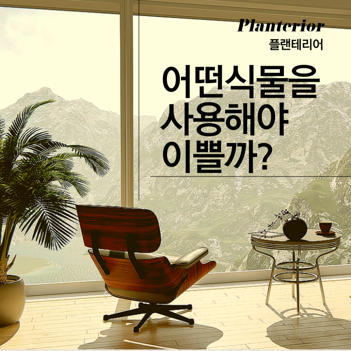 봄을 맞아서 새롭게 꾸미는 "플랜테리어" 식물 추천 봄을 맞아서 새롭게 꾸미는 "플랜테리어" 식물 추천