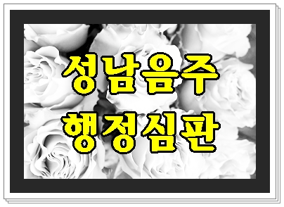 성남 음주운전 행정심판 단 한 번의 기회입니다