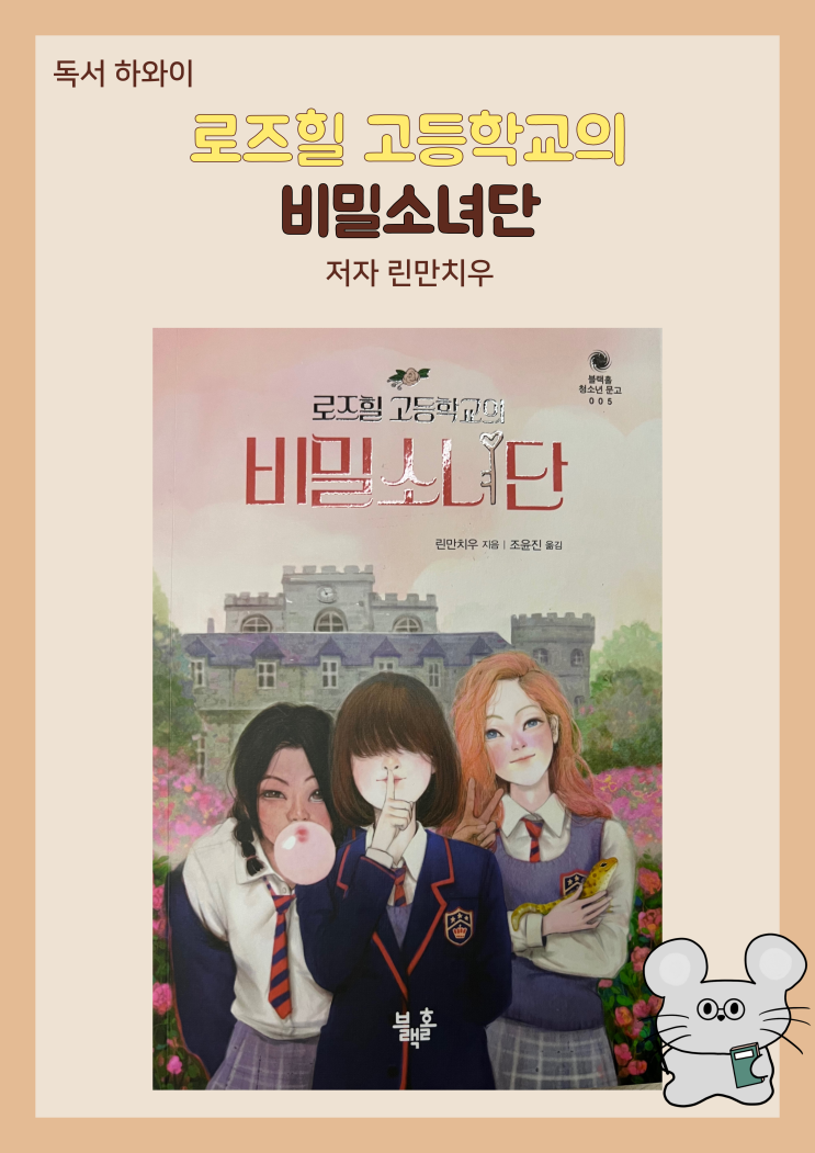 로즈힐 고등학교의 비밀소녀단 /청소년소설, 장편소설 (ft. 린만치우 지음)