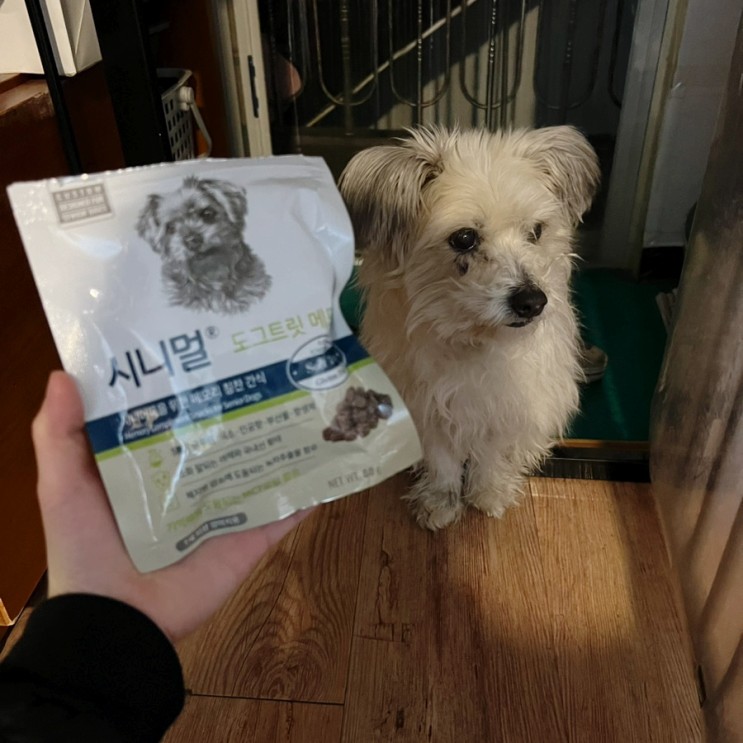 강아지 치매 노령견 간식 | 시니멀 도그트릿 메모리