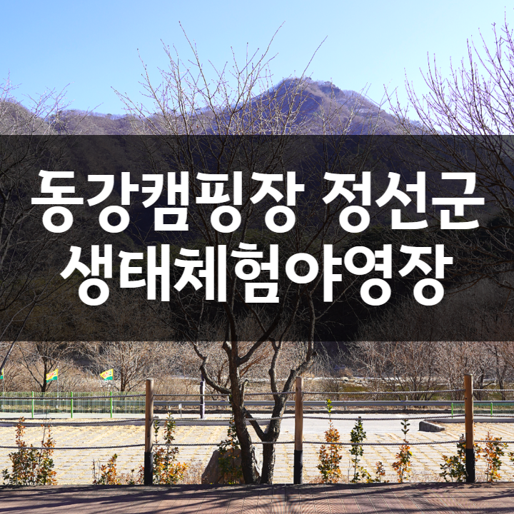 정선 동강 캠핑장, 정선군생태학습야영장 예약방법 및 데크리뷰