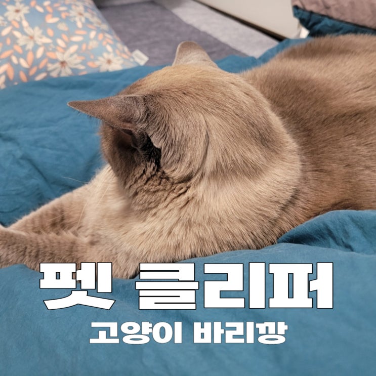  고양이 펫클리퍼로 쉽고 빠르게 털정리
