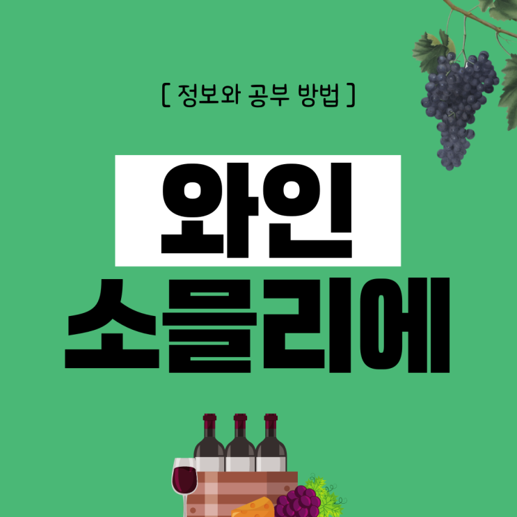 와인소믈리에 자격증 정보와 공부 방법 와인소믈리에 자격증 정보와 공부 방법