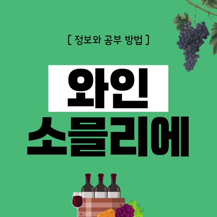 와인소믈리에 자격증 정보와 공부 방법