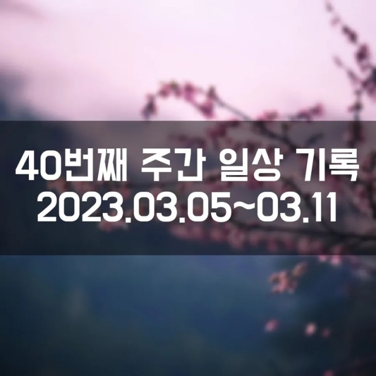 40. 주간 일상 기록 (2023년 3월 5일 ~ 3월 11일)