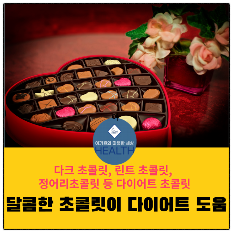  다크, 린트, 정어리 초콜릿,다이어트초콜릿 총정리