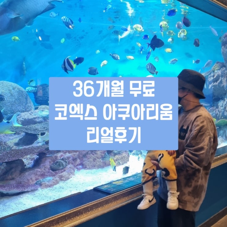  36개월무료 코엑스 아쿠아리움 할인/주차/공연