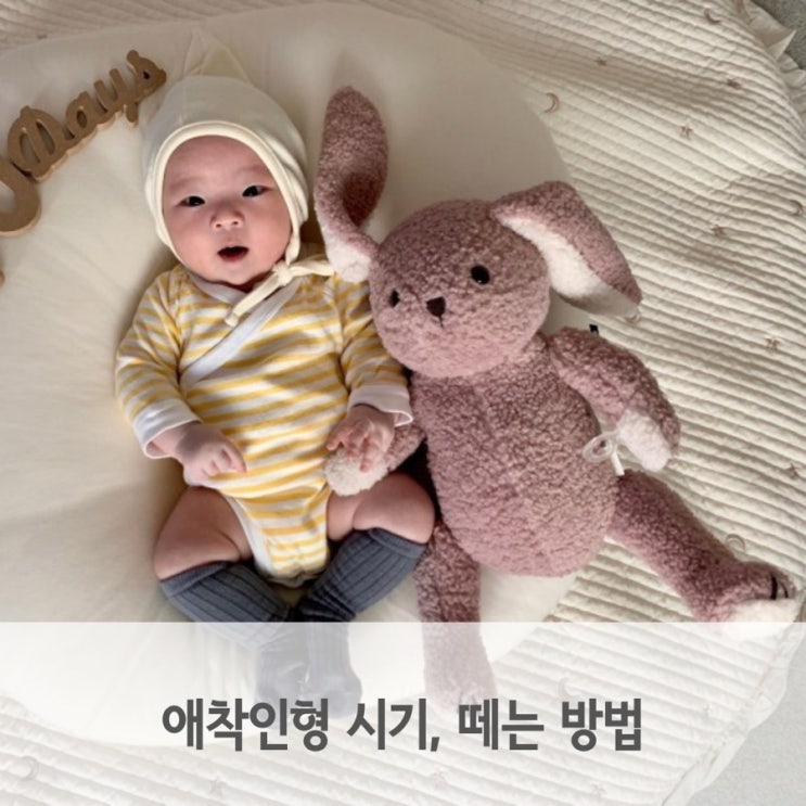  애착인형 시기, 애착물건 집착 없애는 방법