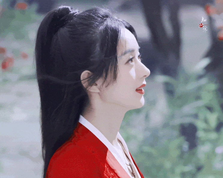  유비(有翡) ⑬