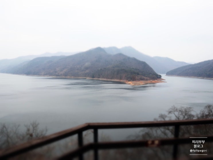  [옥천여행]옥천가볼만한곳 수생식물학습원에서 봄의 정취를 느껴봤어요