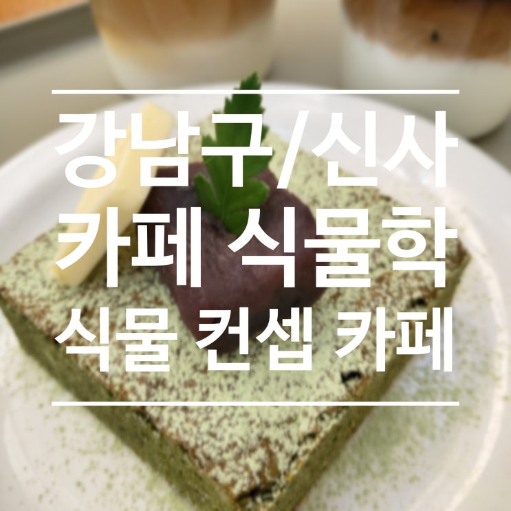  [강남구/신사] 식물학 - 식물 카페