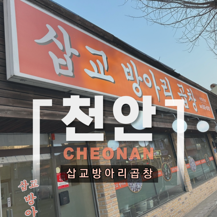  천안 성정동 삽교방아리곱창 곱창구이 곱창전골 숨은 맛집 추천