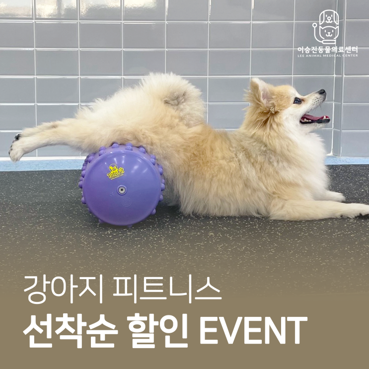 [울산 동물병원 이승진동물의료센터] 강아지 피트니스 선착순 할인 EVENT!
