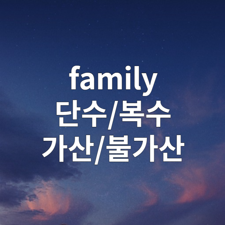 명사 family 단수 복수 여부 및 가산/불가산명사 여부