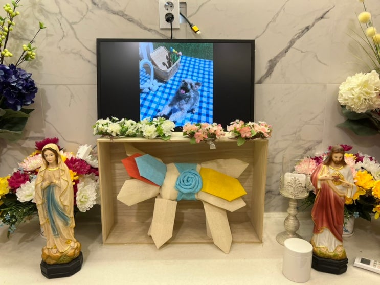  반려동물 장례식, 뚱이야 잘가