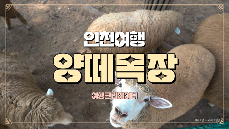  서울 근교 아이들 가족 함께 가볼 만한 곳, 늘솔길 공원 양떼목장, 숲 놀이터, 트인 먹거리타운, 인천여행 서울 근교 여행 편백숲 무장애 나눔 길, 구월 로데오 음식문화거리, 인천문화 예술 회관,