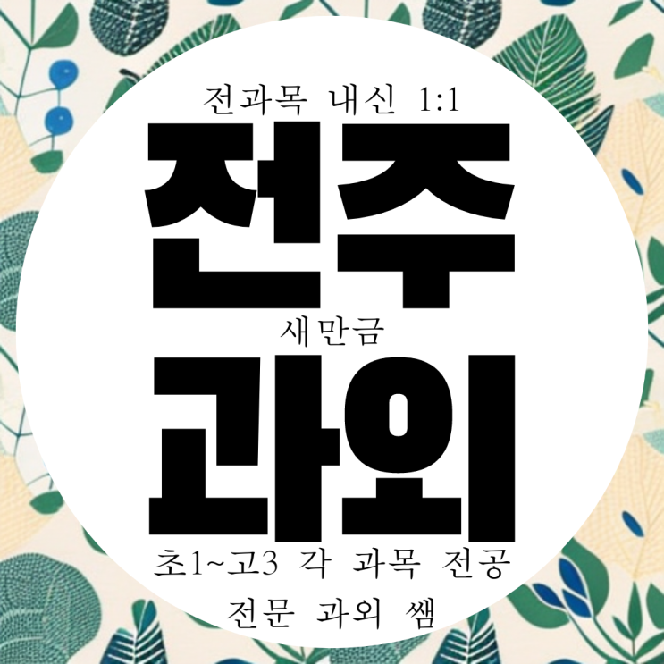  동전주 고등 영어과외 중등 수학과외 전주 중앙여고 내신 전문 영수 과학 국어 전과목