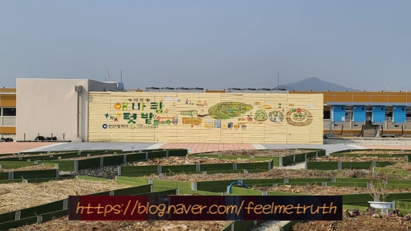  인천 남촌농산물도매시장 옥상에 하늘정원이 있어요(대인농산 29번)