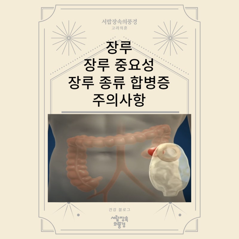 장루 장루 중요성 장루 종류 합병증 주의사항 : 네이버 블로그