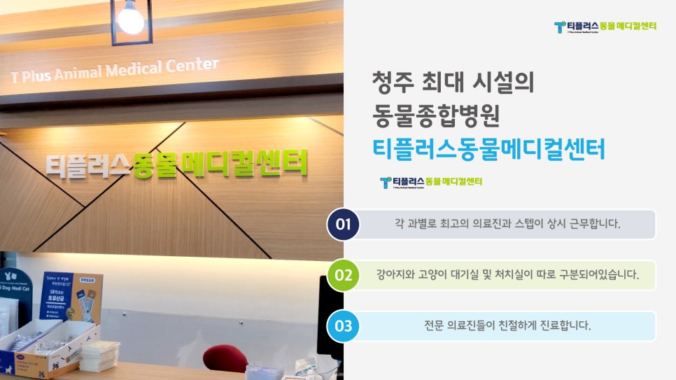티플러스동물메디컬센터 사진 3