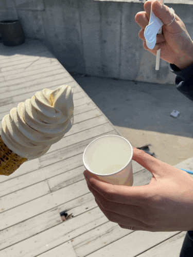  제철맞은 초당옥구수 제주 카페 점점 초당옥수수아이스크림 먹었어요