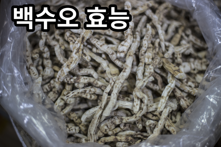  백수오 효능 백하수오차 원액으로 커피 대신 마실수 있는 액상차