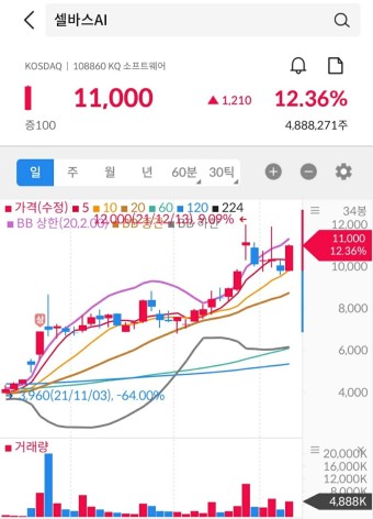  셀바스ai 투자경고 말 그대로 투자경고 인 것인가