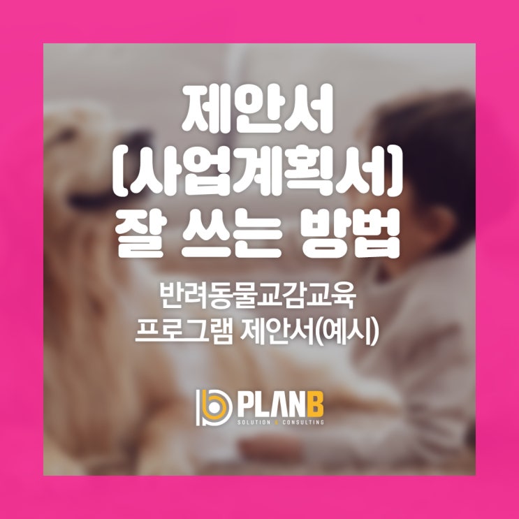 제안서 사업계획서 잘 쓰는 방법 안내 작성 요령 성공 사례 제작 대행 (feat 교육프로그램제안서)