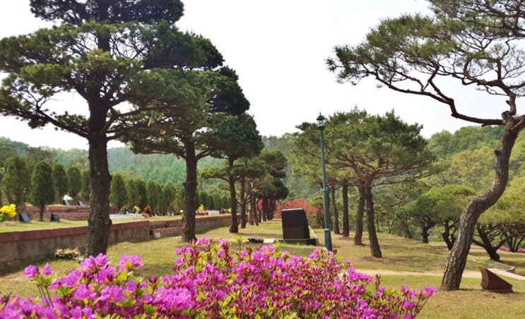  수원수목장 지혜롭게 결정하는 방법
