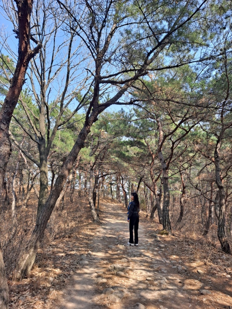  희망 64일차 운동 일지