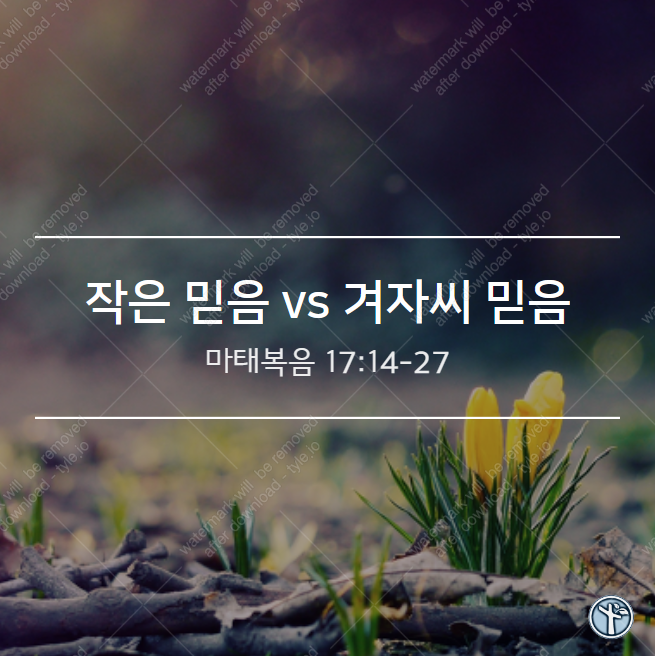  작은 믿음 vs 겨자씨 믿음 / 마 17:14-27