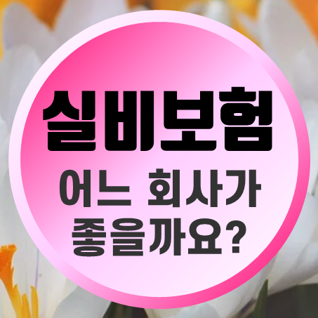  아기 실비보험 가입 자녀를 위한 아이실손보험 추천 회사는 어디가 좋을까요?