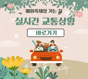  제22회 광양매화축제, 셔틀버스 운영 및 유료주차장 도입