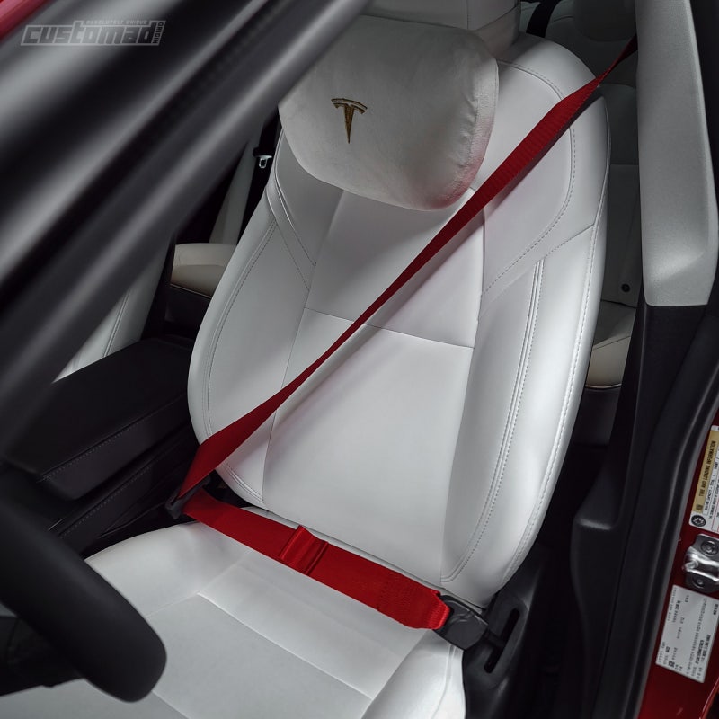 부산시 기장군 / 실내커스텀/염색 / 테슬라 / 모델3 / 모델 3