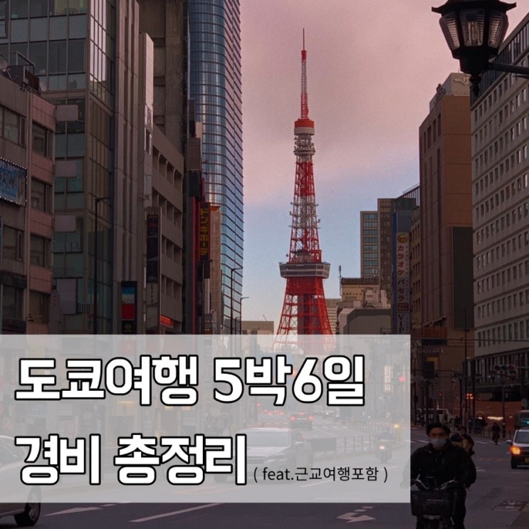  도쿄여행경비 얼마나들까 ? 총정리 : 근교여행포함 !