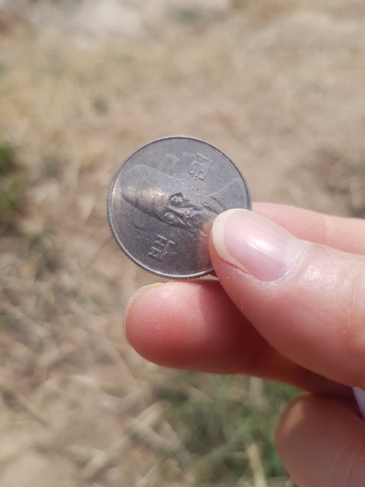  100원 동전 만나는 오늘의 운세