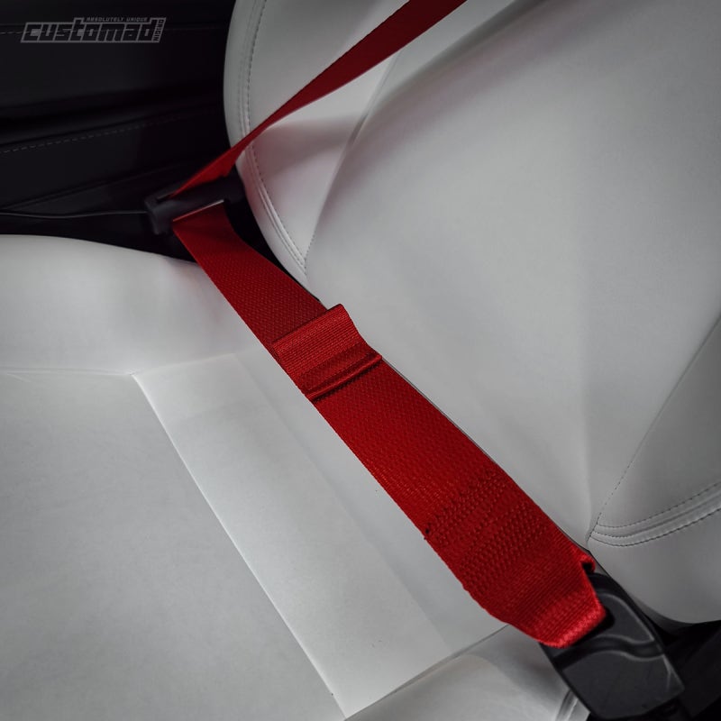 부산시 기장군 / 실내커스텀/염색 / 테슬라 / 모델3 / 모델 3