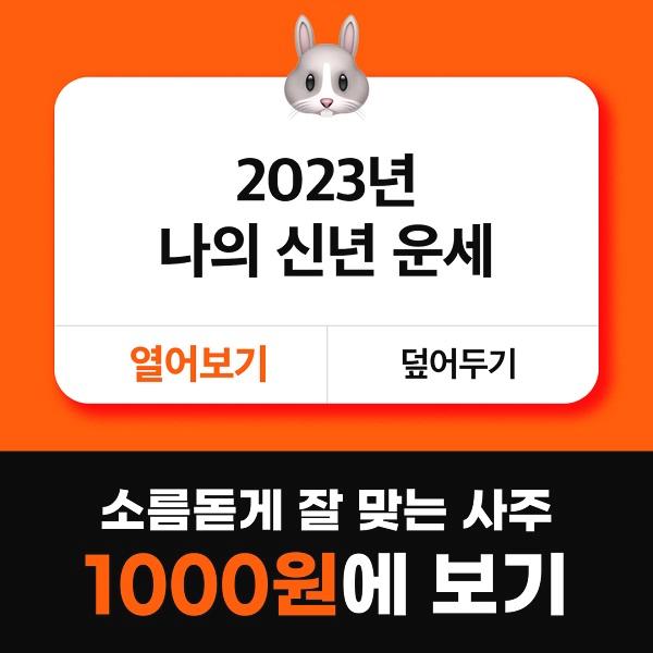  2023년 신년운세 사주풀이 천 원!