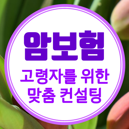  60대암보험 비교 노령 및 유병자 무배당 보장성암보험 가격을 확인해 보세요.