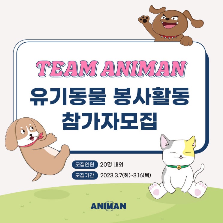 [팀 애니먼] 유기동물 봉사활동 참가자 모집
