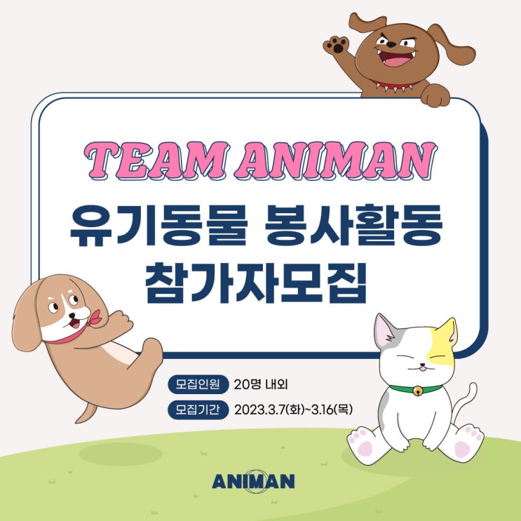  [팀 애니먼] 유기동물 봉사활동 참가자 모집