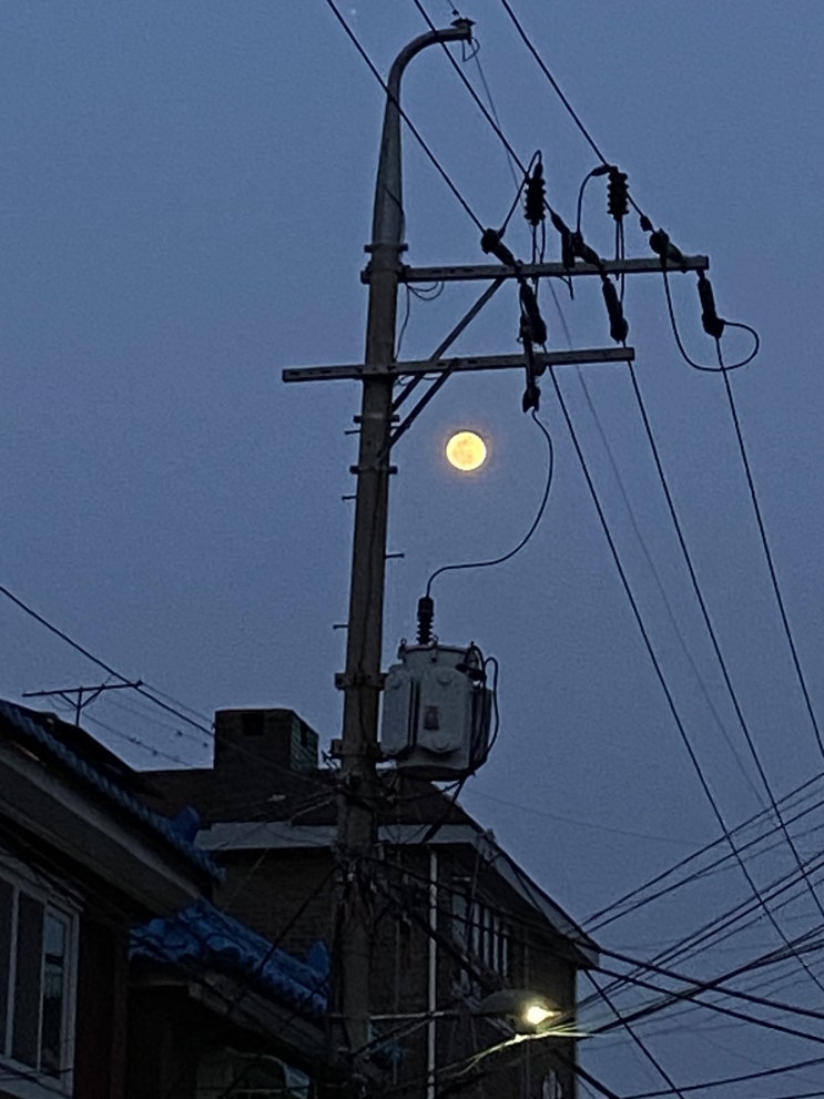  퇴근길 아니고 퇴근
