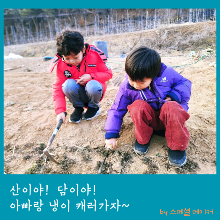산이야 담이야 냉이 캐러 가자~ 시골감성 아빠와 호호형제의 봄맞이 냉이캐기 체험