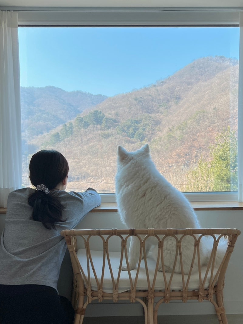 스테이감동