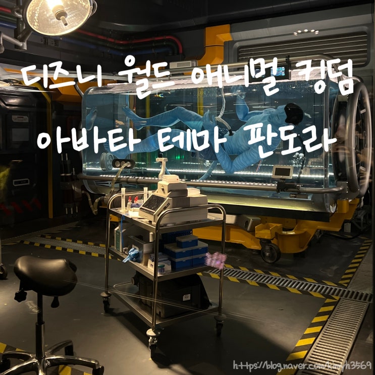  디즈니 월드 아바타 테마 판도라! 애니멀 킹덤 추천 코스 나비 리버 저니 & 아바타 플라이트 후기