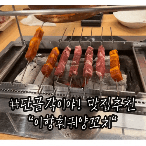 안락동 안락시장 양꼬치 양갈비 훠궈맛집 추천 : 이향훠궈양꼬치 안락동 안락시장 양꼬치 양갈비 훠궈맛집 추천 : 이향훠궈양꼬치