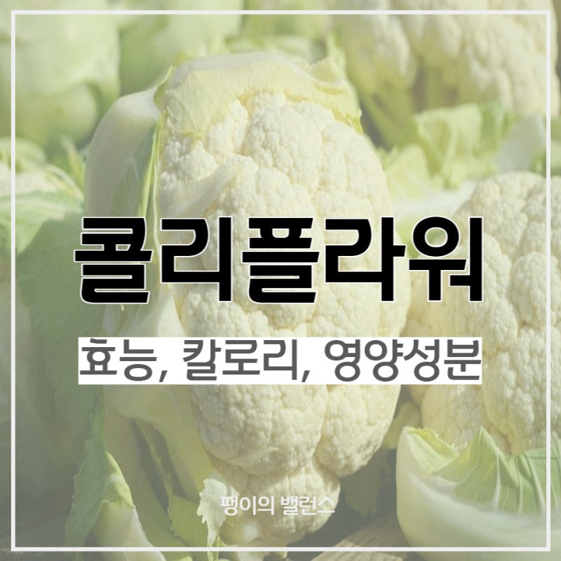 하얀 브로콜리 콜리플라워 효능 영양성분 컬리플라워 칼로리 총정리
